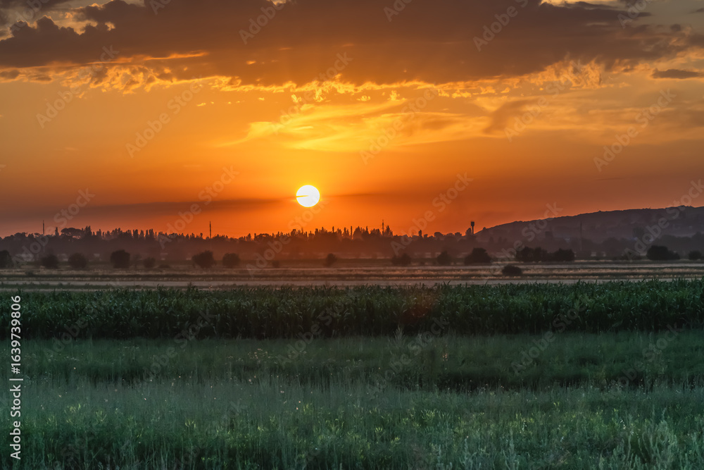 Obraz premium Amazing colorful sunset in summer over flowering meadows.