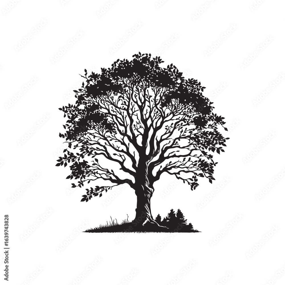Fototapeta premium Black Ash Tree Silhouette Vector on White Background.