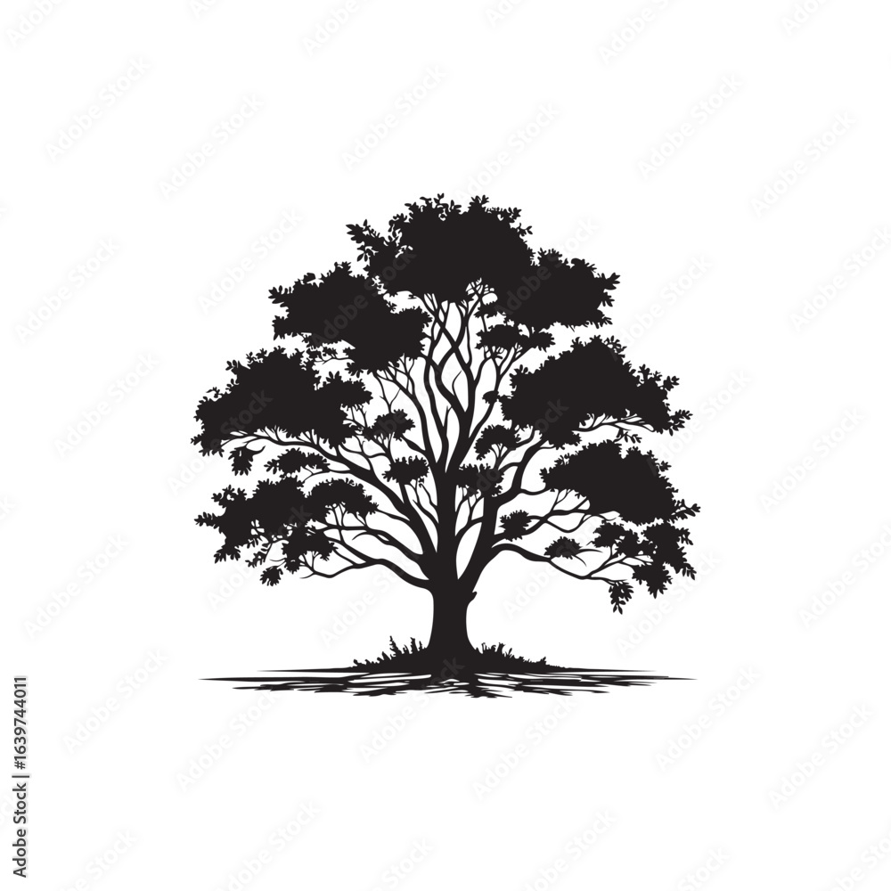 Fototapeta premium Black Ash Tree Silhouette Vector on White Background.
