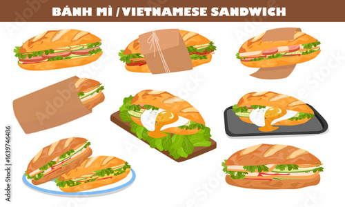 Bánh mì, banh mi or Vietnamese baguette sandwich vector in cartoon flat style. Vietnamese traditional food, famous street food. Bread with grilled meat, egg, sausage , cilantro, cucumber, chilli sauce
