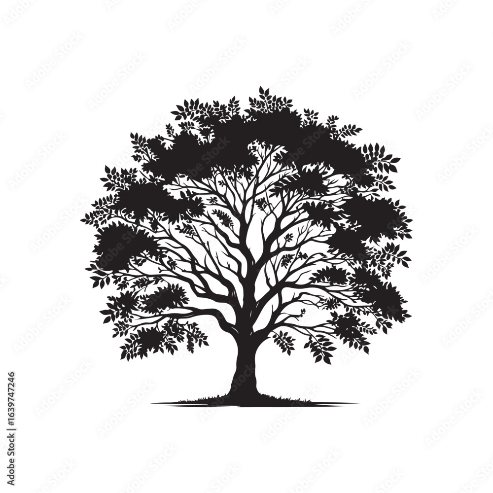 Obraz premium Black Ash Tree Silhouette Vector on White Background.