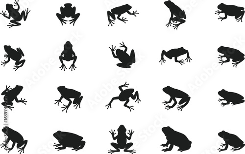 Frog silhouettes in various poses, jumping and sitting amphibians, black vector frog icons, wildlife animal graphics, frog illustration pack