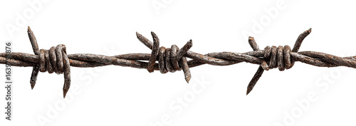 Rusty barbed wire
