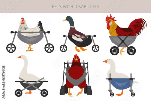 Disabled animals clipart. Injured chikens and ducks in a wheelchairs. Poultry with a disabilities. Vector illlustration