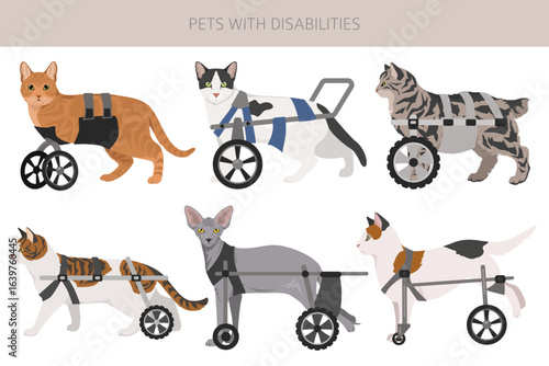 Disabled animals clipart. Injured cats in a wheelchairs. Cats with a disabilities. Vector illlustration