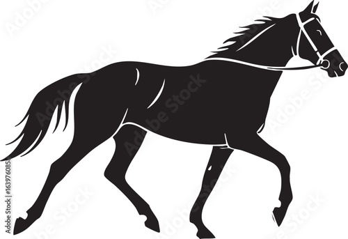 Elegant horse trotting silhouette