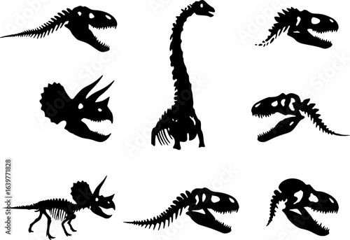 Fossil dinosaur silhouette infographics. Dino teeth skull. Bone skeleton print graphic set. Dead ancient predator art. Dinosaur Diplodocus Velociraptor Stegosaurus Triceratops Allosaurus Tyrannosaurus
