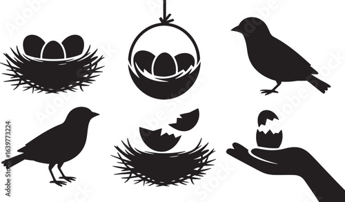 Bird Silhouettes A Black and White Vector Illustration of Birds and Nests on Clear