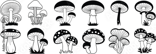 Black and white mushroom illustrations, hand drawn fungi sketch set, botanical mushroom vector, vintage mushroom drawing, nature fungi chart