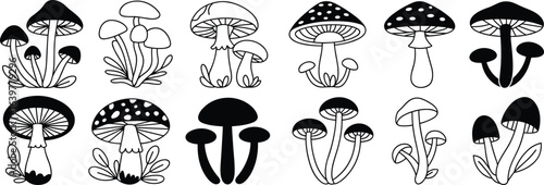 Cartoon mushroom illustrations, black and white fungi drawing, simple mushroom sketch set, cute mushroom vector, hand drawn mushroom art