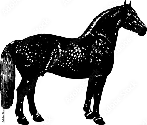 abstract design of American wild west desert with cowboys - hand drawn Black illustration. Ilustraciones del viejo oeste. PNG.JPG. VEKTOR