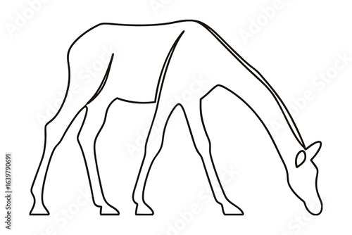 Minimalist continuous line drawing a giraffe bending down to drink animal wildlife