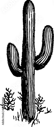 abstract design of American wild west desert with cowboys - hand drawn Black illustration. Ilustraciones del viejo oeste. PNG.JPG. VEKTOR