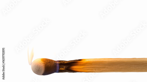 Closeup of a single burning matchstick with a small glowing flame. Isolated vector illustration of ignition on a white background.