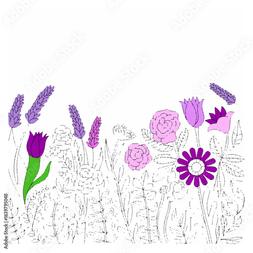 A charming vector illustration of a floral garden with partially colored pink and purple flowers. Creative hand-drawn line art of a spring meadow.