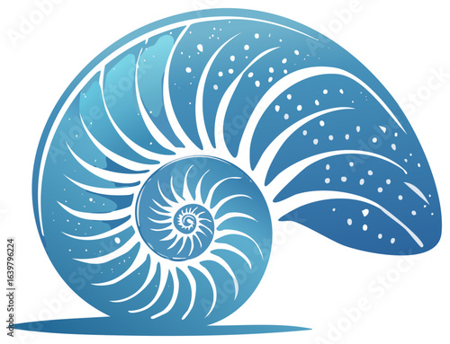 Stylized Nautilus Shell Illustration in Blue Hues Showing Spirals and Sections