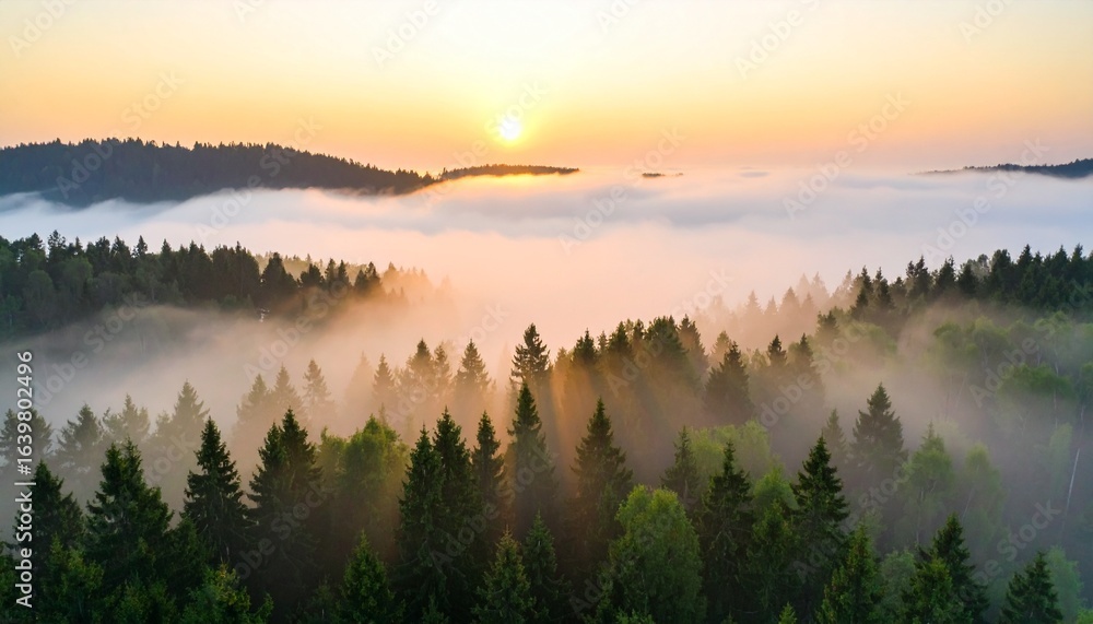 Fototapeta premium Abstract nature-inspired wallpaper featuring coastal waves, tropical sunsets, forest mists, and urban rooftop views. Includes warm gradients, soft lighting, and atmospheric moods perfect for modern de