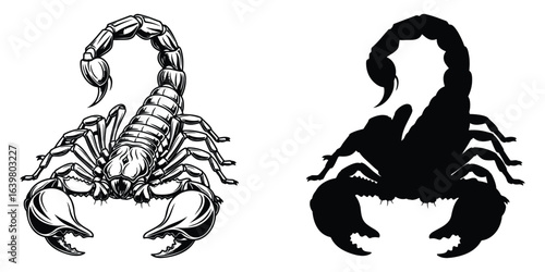 Detailed Scorpion Vector Illustrations in Black and White Silhouette Style