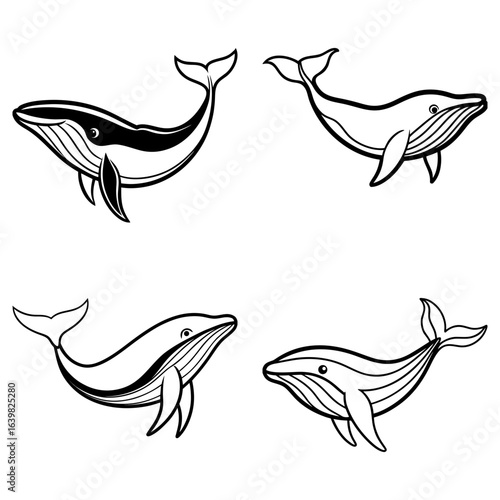 Four stylized whales in black and white with different designs and orientations swimming in ocean water