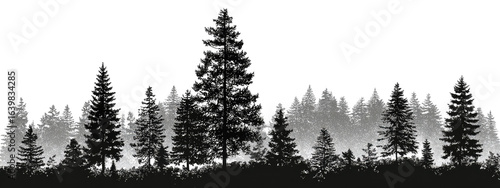 Forest silhouette in grayscale