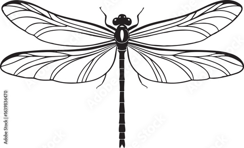 Simple line art dragonfly silhouette design