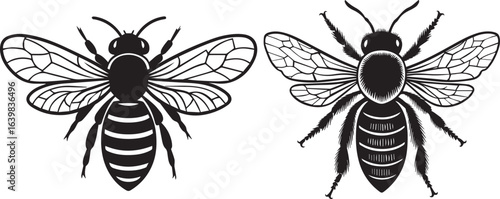 Line art honey bee silhouette with white background