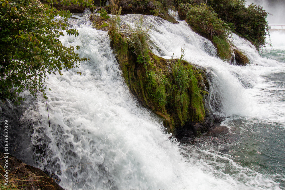 Fototapeta premium Powerful foamy water of the Rhine Falls cascades over jagged rocks and green moss