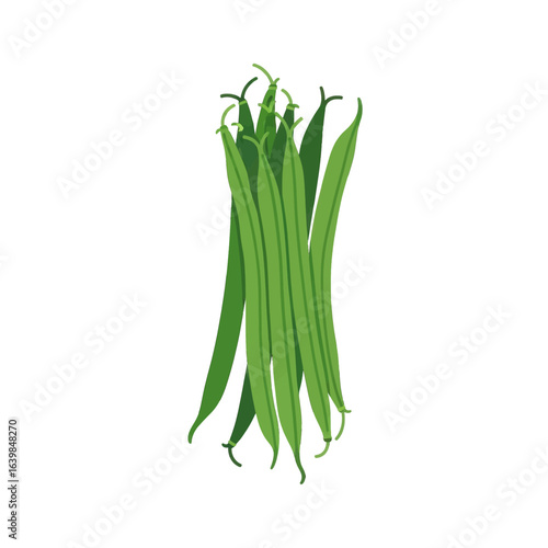 A vibrant illustration of a bundle of fresh green beans, ready for cooking.