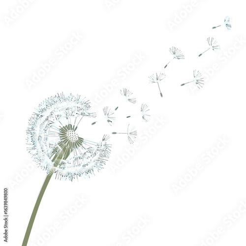 A close-up illustration of a dandelion with its seeds blowing away in the wind.