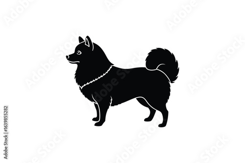 Elegant Finnish Spitz Dog in Black Silhouette Style on White Background silhouette