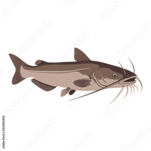 A detailed side view illustration of a brown catfish with long barbels.