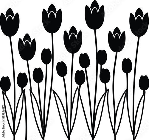 A field of tulips each one a different height silhouette