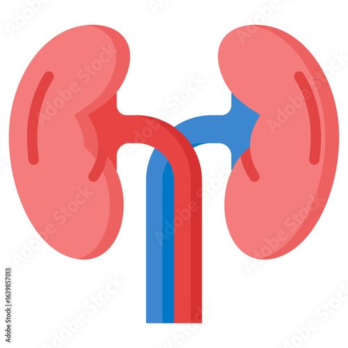 Kidneys Icon