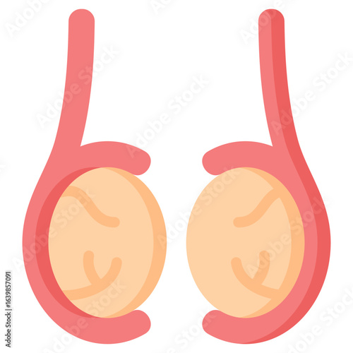 Testicle Icon