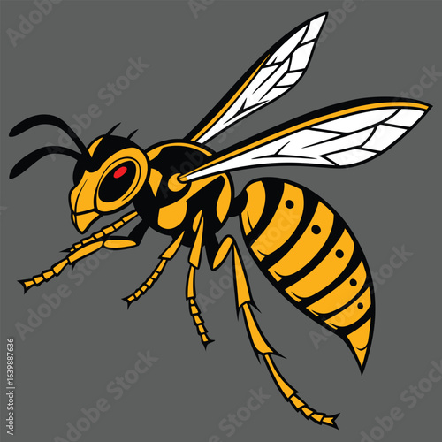  Black Wasp with Transparent Wings