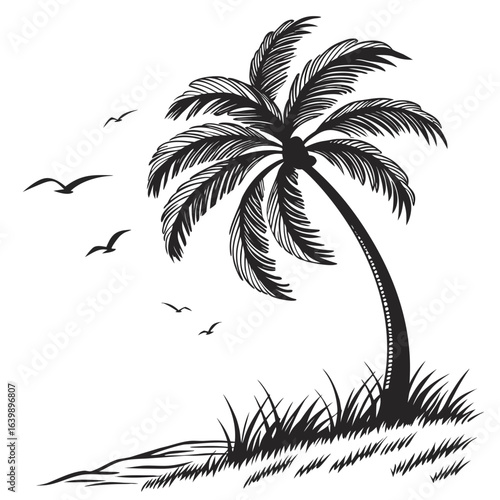 palm tree silhouette