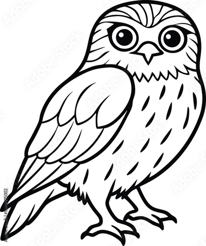 Spectacled owl cute cartoon vector illustration isolated on white background, Cute spectacled owl cartoon, Spectacled owl vector art, Tropical spectacled owl illustration

