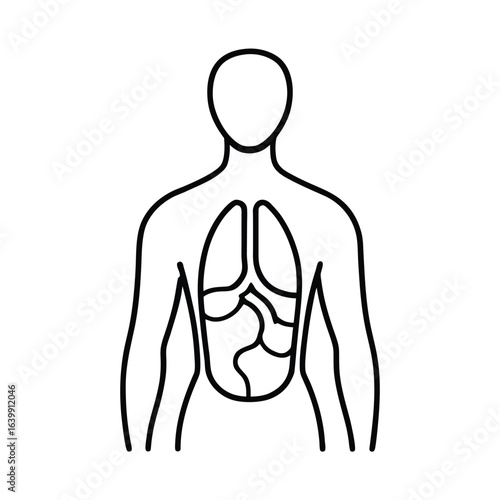 internal organs outline inside human body silhouet Detailed within silhouette