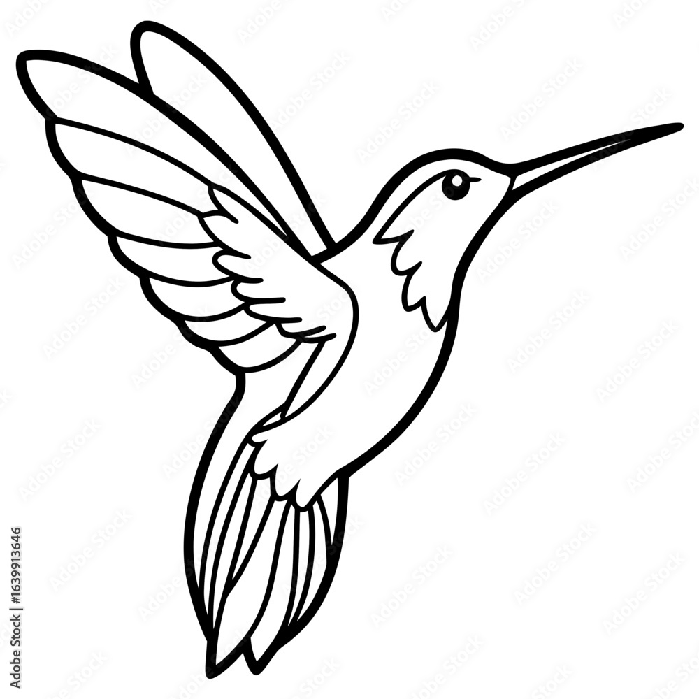 Obraz premium hummingbird line art 