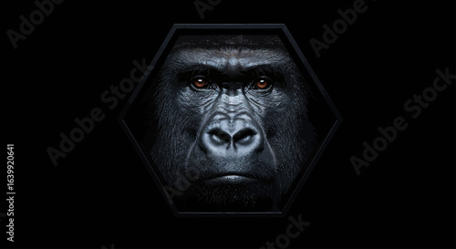 Close-up portrait of a scary old man with dark hair, a wild look in his eyes, and a stone-like face