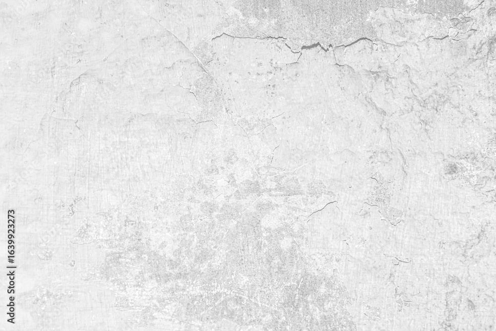 Fototapeta premium Blank Stucco Wall Texture Background Image