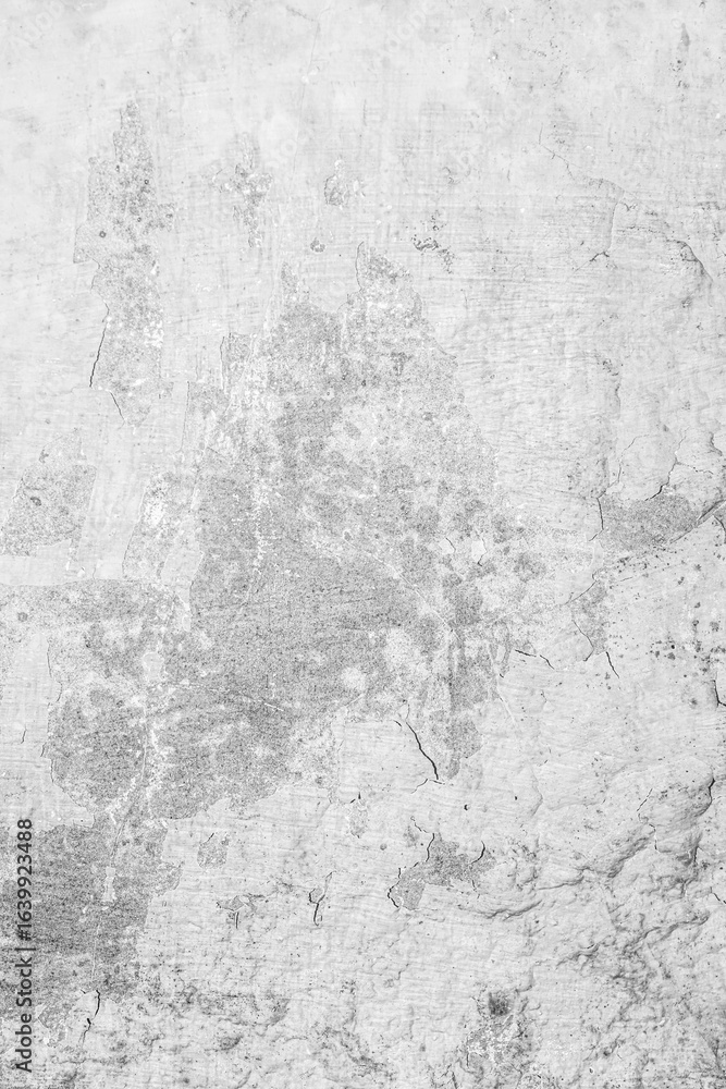 Obraz premium Grunge White Wall Texture Wallpaper Image