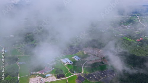 Aerial Drone View of Highway and Cars Driving Through Green Fields and Forest, with Vast Summer Landscape, Blue Sky, and Clouds for a Healing Scenery