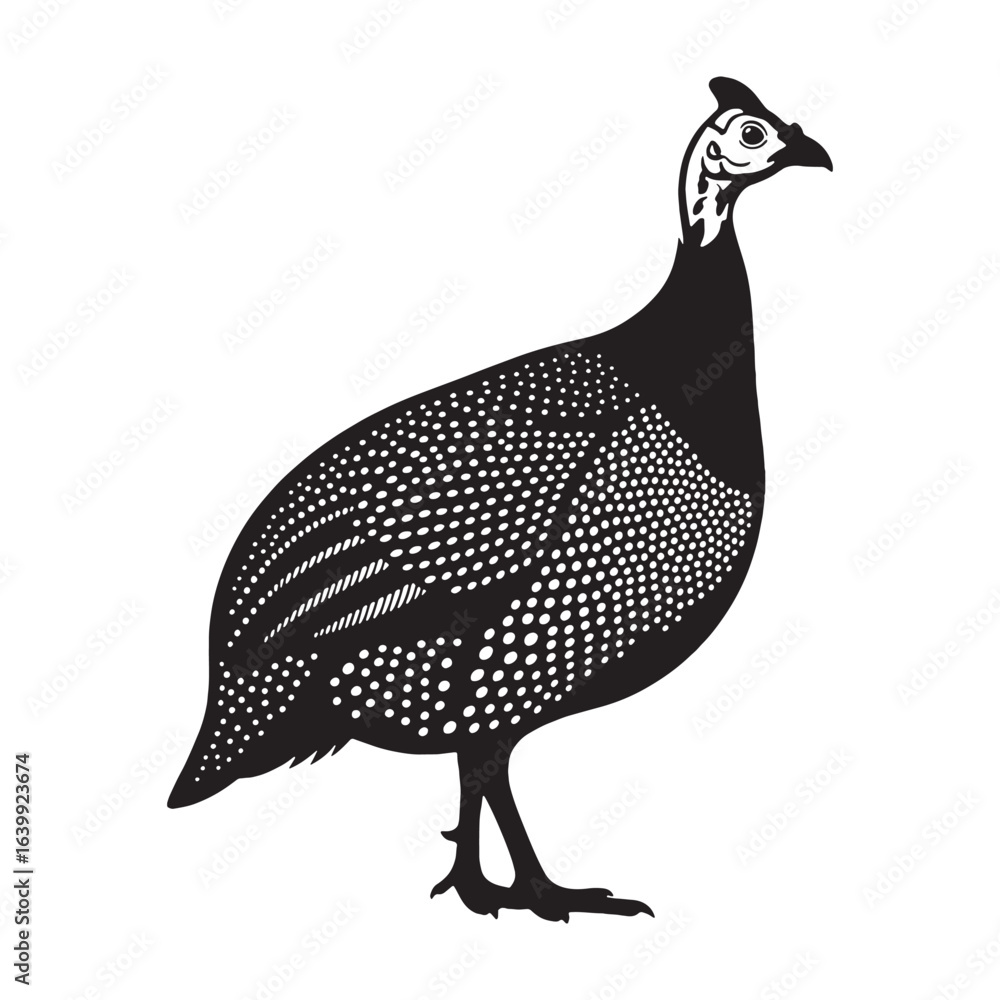 Obraz premium Artistic Guinea Fowl Silhouette – Guinea Fowl Vector Outline with Fine Detailing – Bird Illustration – Silhouette of Guinea Fowl
