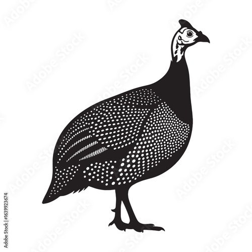 Artistic Guinea Fowl Silhouette – Guinea Fowl Vector Outline with Fine Detailing – Bird Illustration – Silhouette of Guinea Fowl

