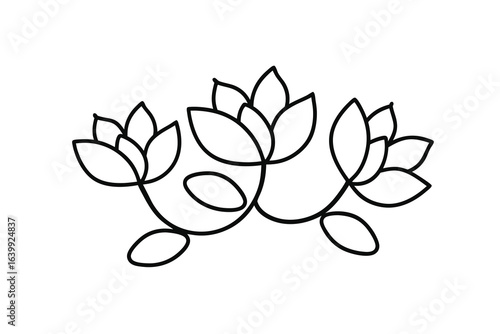 Minimalist continuous line drawing three lotus flowers leaves abstract bloom