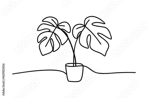Minimalist single line drawing a monstera plant in a pot vector