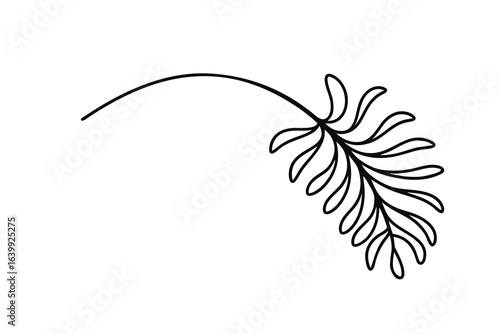 Minimalist continuous line drawing a fern frond leaf plant