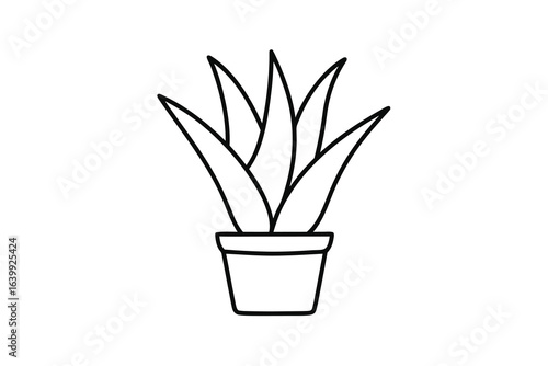 Minimalist continuous line drawing a potted succulent plant vector 1
