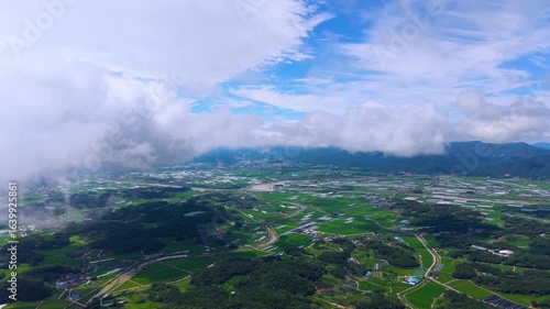 Aerial Drone View of Highway and Cars Driving Through Green Fields and Forest, with Vast Summer Landscape, Blue Sky, and Clouds for a Healing Scenery